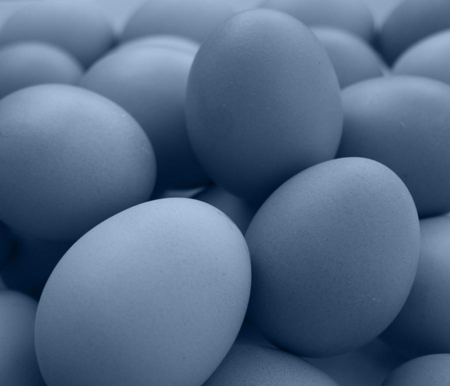 Някои динозаври са предпочитали яйцата си сини