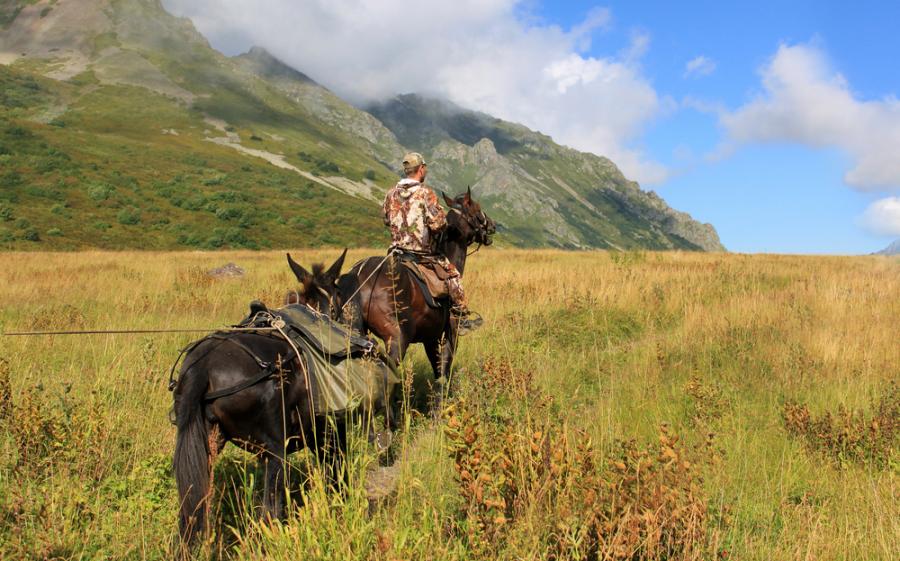 Притча за конника и змията