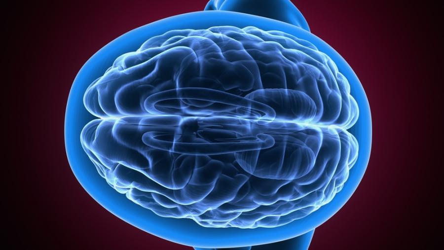 Истинската причина хората да се пристрастяват към наркотиците