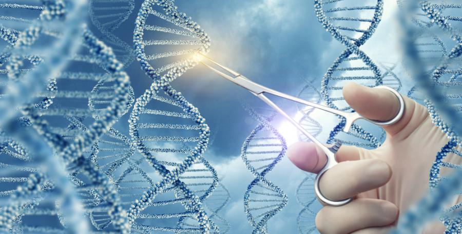 За първи път редактираха генома на човешки ембрион