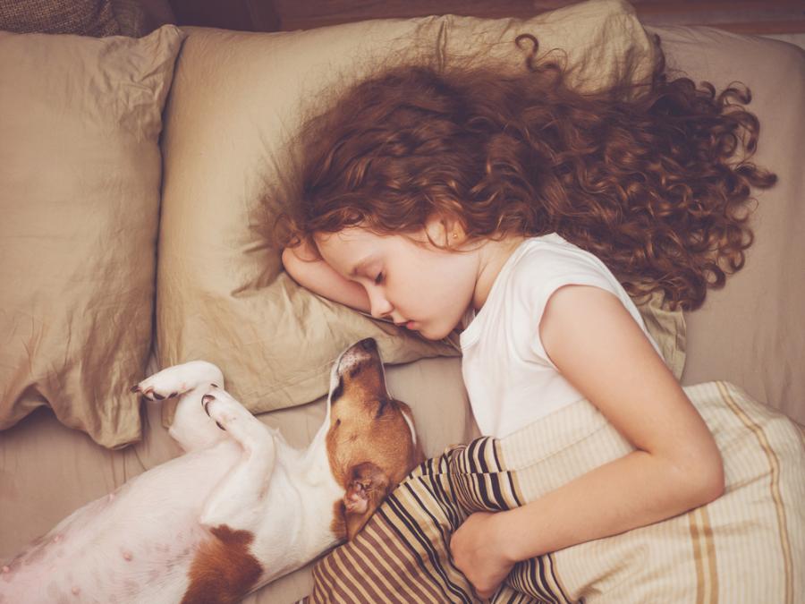 Ето как кучето влияе върху съня ни