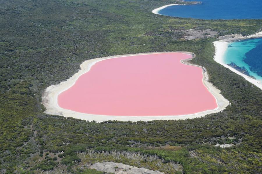 Тайната на уникалното розово езеро Хилиър