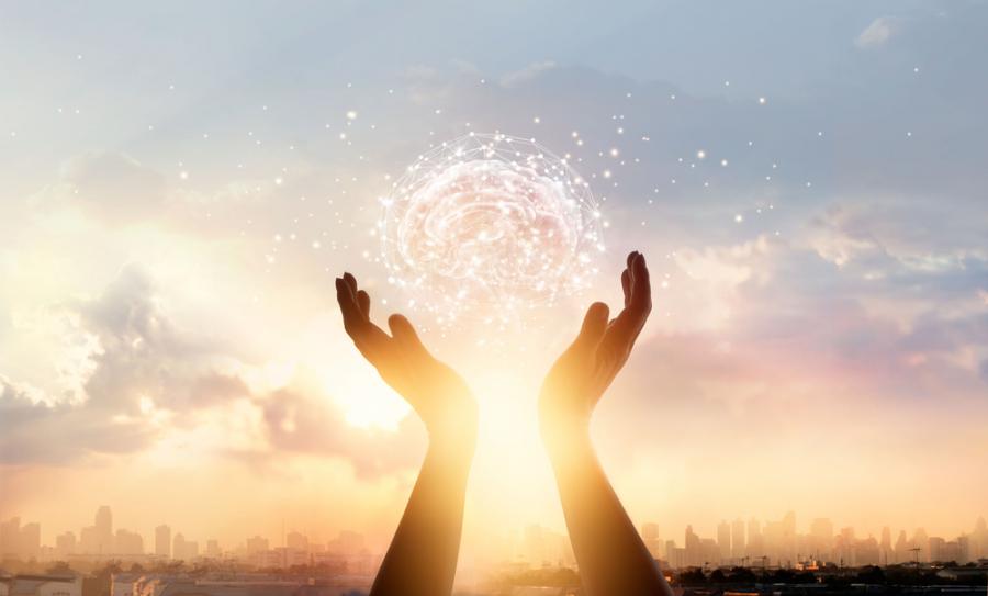 Елизабет Лофтъс: Измислиците на паметта