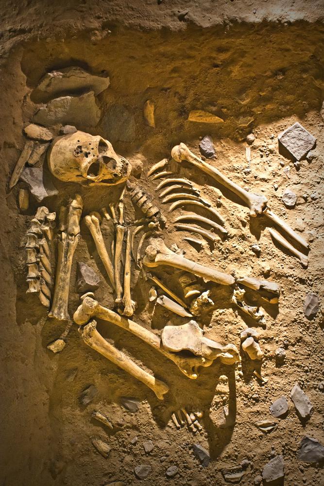 Нови останки изместиха произхода на Хомо сапиенс с около 100 000 години назад