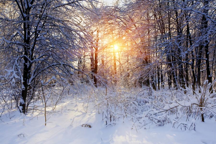 Зимата засилва умствените заболявания