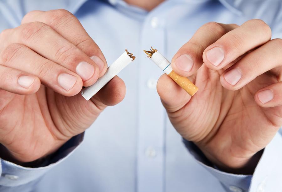 Гъби могат да крият ключа към спирането на цигарите