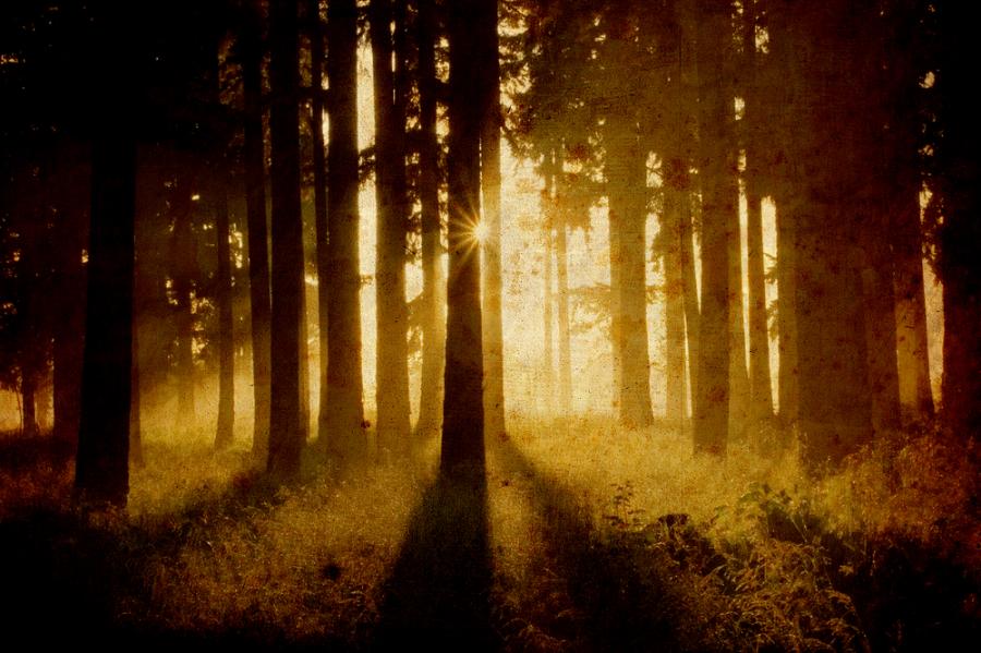 10 истини, които ще научите, преди да откриете щастието