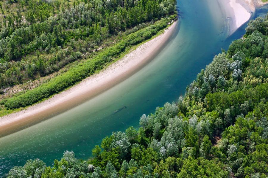 Дунавският регион може да бъде „Зеленото сърце на Европа“