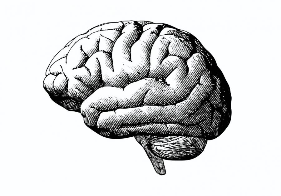 Виц: Колко струва мозъкът на един учен?