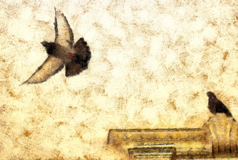 Притча за гълъбите