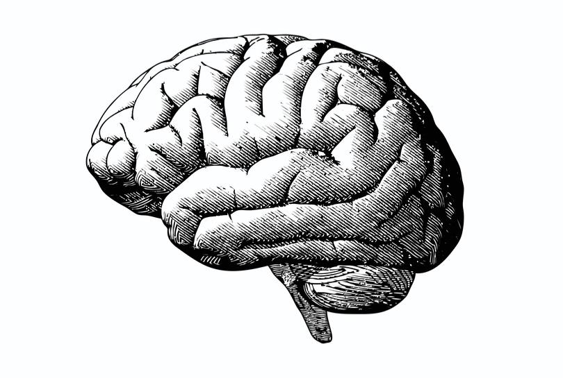 Защо умните хора са по-предразположени към психични заболявания
