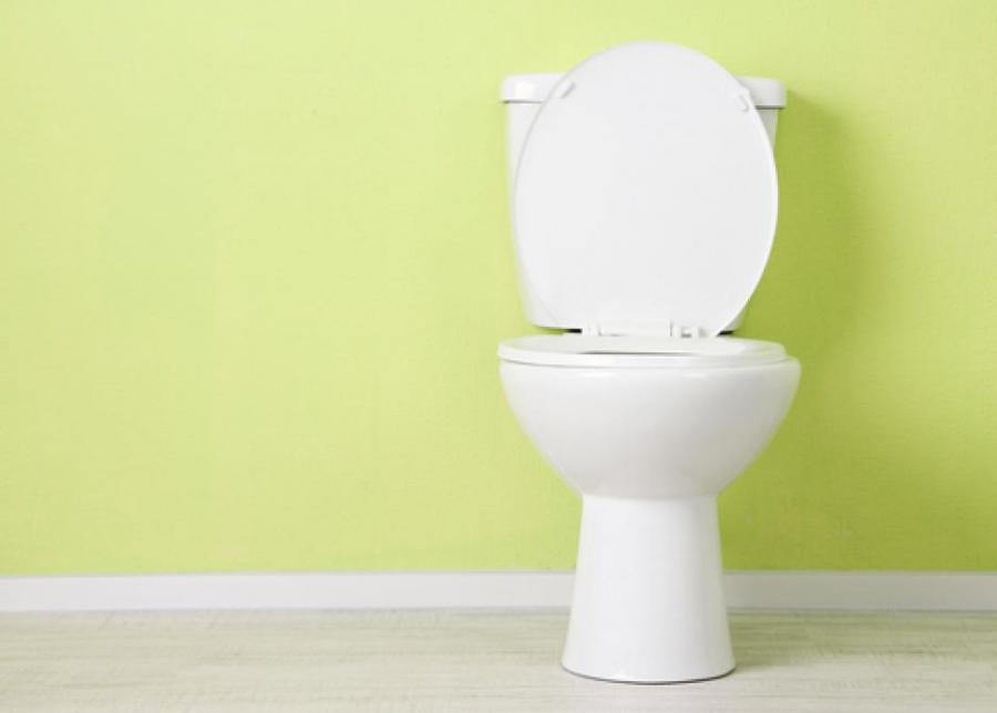 Наистина ли може да хванете бактерии от обществена тоалетна?