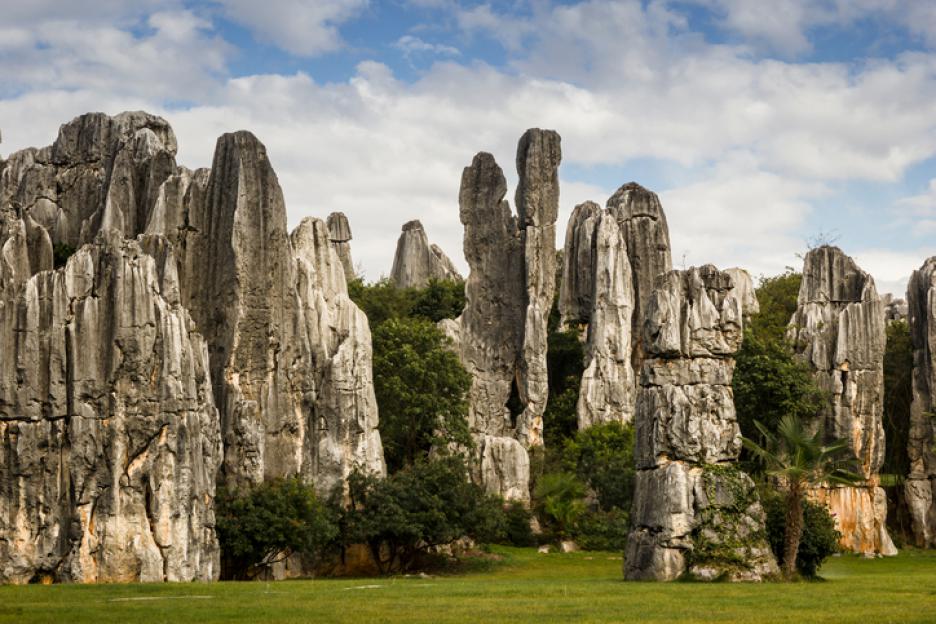 Каменната гора, Китай