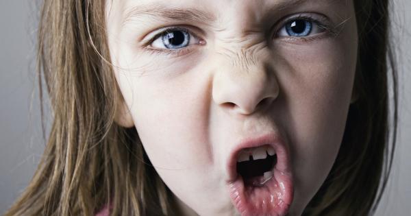 Представете си че тийнейджърът в разгара на кавгата ви крещи