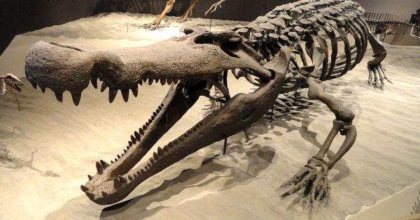 В края на Кредата Северна Америка е била разделена на