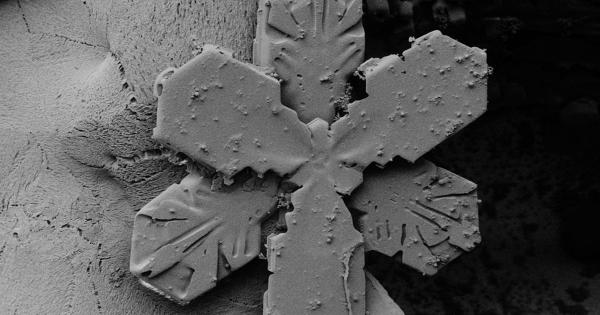 Всички сме виждали как паячета плетат фините си мрежи Как