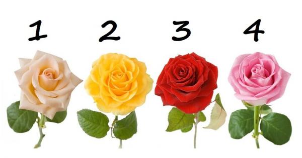 Всеки мечтае за нещо Дори когато изглежда че имате всичко