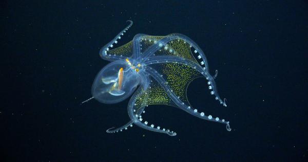 Учени от океанския институт Шмид с помощта на изследователския плавателен