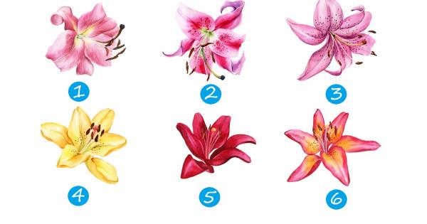 Освен със своята красота цветята са известни и със своята