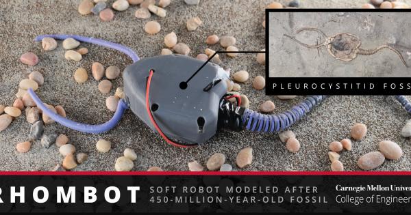 Плевроциститидът е морски организъм живял преди почти 450 милиона години