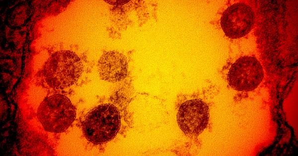 Т нар бразилски вариант – една по заразна мутация на коронавируса която