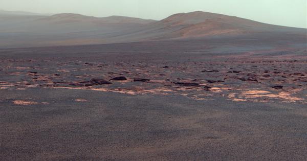 Всякакви следи от аминокиселини останали от периода в който Червената