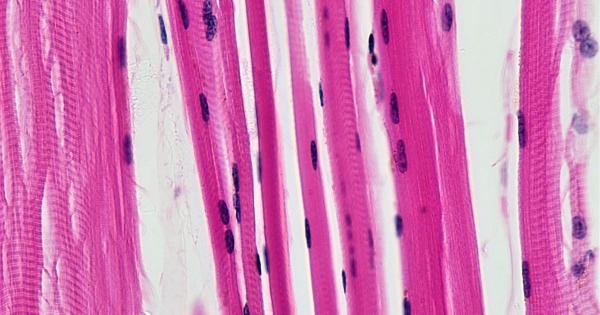 По време на стареенето и мишките подобно на хората стават