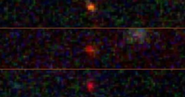 Изследователи търсят от 15 години доказателства за съществуването на вид