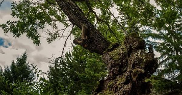 На церемонията по награждаване която се проведе вчера в Полски