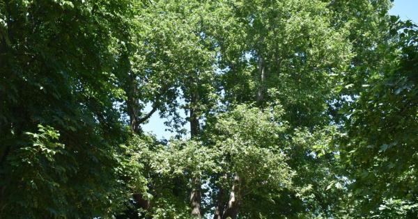 Министърът на околната среда и водите Борислав Сандов обяви за