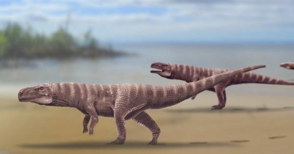 Палеонтолози откриха, че  гигантски древен предтеча на днешните крокодили е
