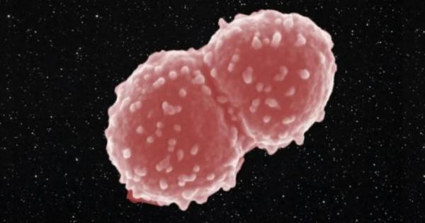 Не е лесно да живееш една година в Космоса Не