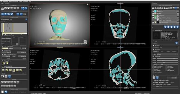 Андрю Нелсън изучава биоархеология отчасти защото това му позволява да