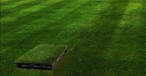 Bioo испанска биотехнологична компания разработи батерии които генерират електричество по