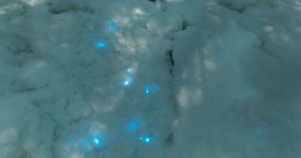 Представете си че се разхождате из руската Арктика и изведнъж