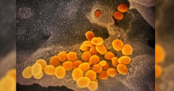 От обявяването на пандемията от COVID 19 измина малко повече от