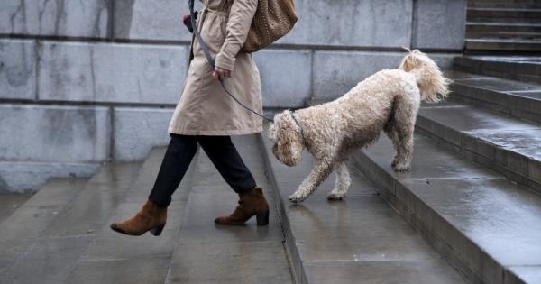 Болка подуване намалена подвижност скованост – познати ли са ви