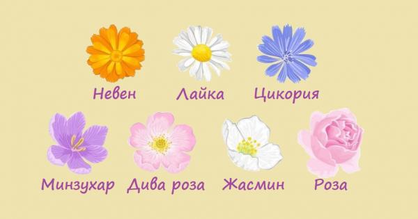 Освен че са красиви цветята са заредени с особен смисъл