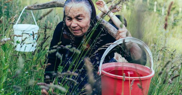Климатичните промени са неизменно свързани с липсата на питейна вода