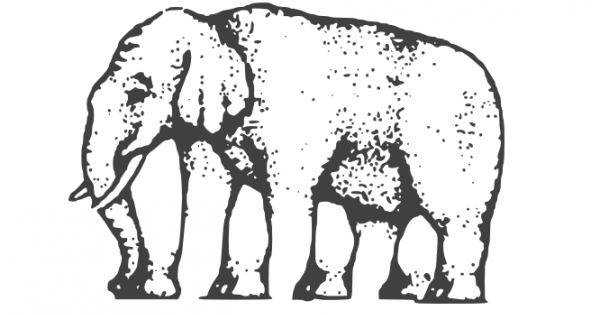 Какво виждаме и каква е реалността са две корено различни