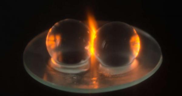 Изследовател от университета Трент Канада реши да си почине от стандартните