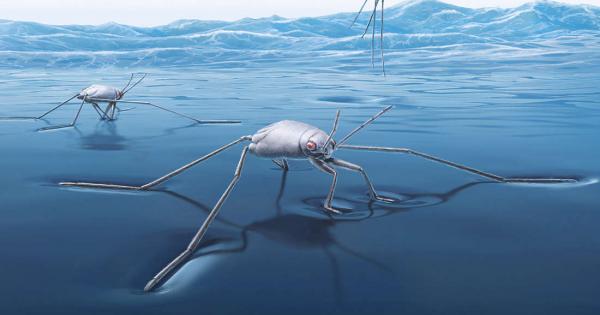 Изследване публикувано в научното списание Scientific Reports разглежда два вида