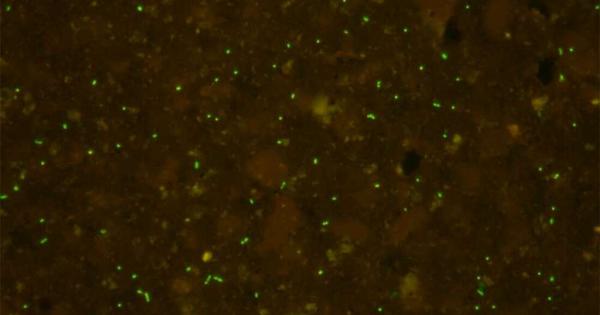 В дълбините под океанското дъно в скалист пласт на близо