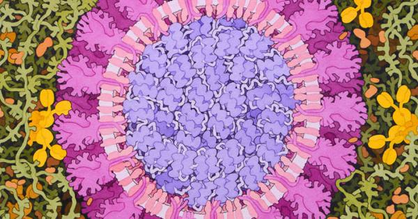 Учени показаха, че SARS-CoV-2 – вирусът, който предизвиква COVID-19, е