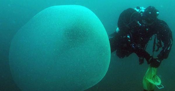 Представете си за миг че плувате през океана и изведнъж