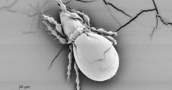 Няма какво да се лъжем – сексът не винаги си