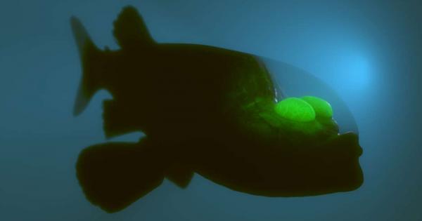 Животът в океана може да бъде наистина странен Сред всички