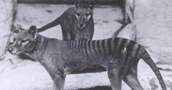 Изследователи от Австралия и САЩ стартират проект на стойност милиони