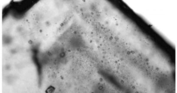 Наскоро учени обявиха че са се натъкнали на миниатюрни останки