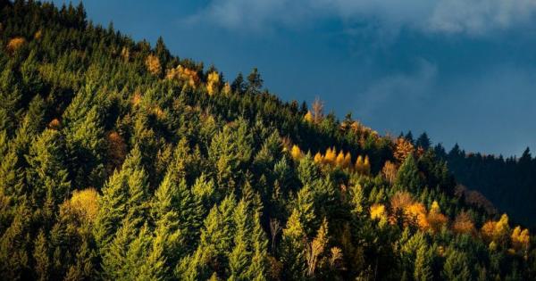 Ноември 2022 г показа справедливост давайки по топли и по студени условия